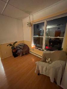 Drummondville - Coloc rechercher (Étudiant) - Photo 3