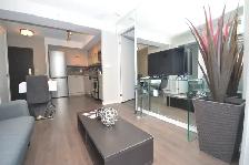 Luxurious 2 Bedroom   2 Bathroom Condo/Renovated/Downtown T.O. - Photo 3