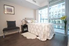 Luxurious 2 Bedroom   2 Bathroom Condo/Renovated/Downtown T.O. - Photo 5
