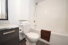 Luxurious 2 Bedroom   2 Bathroom Condo/Renovated/Downtown T.O. - Photo 6