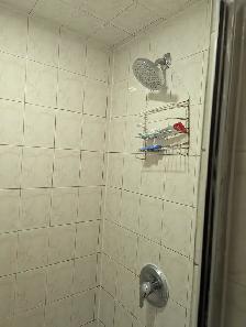 Bright ground fl room private washroom, parking @York University - Photo 8