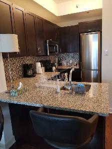 1 Bed   1 Bath Condo | LeBreton Flats | Parking Included - Photo 2