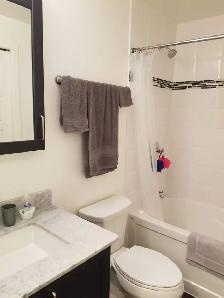 1 Bed   1 Bath Condo | LeBreton Flats | Parking Included - Photo 3