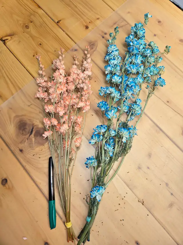 Preserved and Dried Floral  Inventory Lot Sale