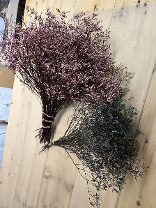 Preserved and Dried Floral  Inventory Lot Sale - Photo 2