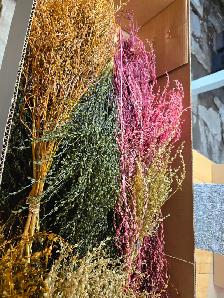 Preserved and Dried Floral  Inventory Lot Sale - Photo 3