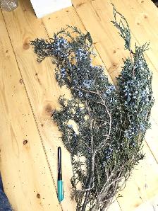 Preserved and Dried Floral  Inventory Lot Sale - Photo 6
