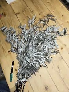 Preserved and Dried Floral  Inventory Lot Sale - Photo 8