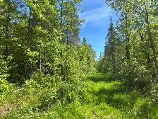 terre à bois à vendre