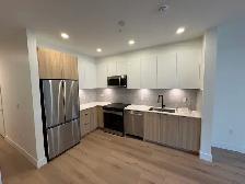 Great Location 2 bedroom 1 bathroom - Photo 3
