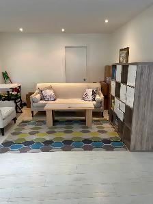 1 Furnished private BR in a spacious 2 BR suite, Joyce Station