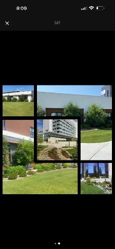 Landscape Maintenance Crew Lead/Labourer/Water truck driver/ - Photo 2