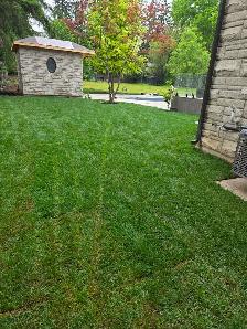 Sprinkler service - Photo 7