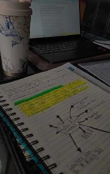 Looking For Assignment/Writing/English Help?
