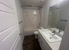 1 Bedroom energy efficient legal basement suite in Brighton - Photo 4