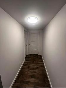 1 Bedroom energy efficient legal basement suite in Brighton - Photo 9