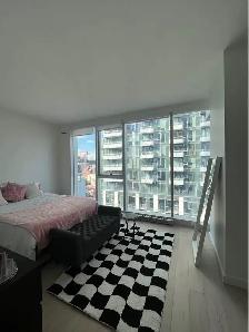 Condominium de luxe, YUL Phase 1, STUDIO à louer - Photo 3