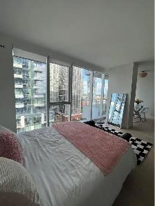 Condominium de luxe, YUL Phase 1, STUDIO à louer - Photo 4