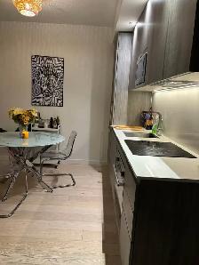 Condominium de luxe, YUL Phase 1, STUDIO à louer - Photo 5