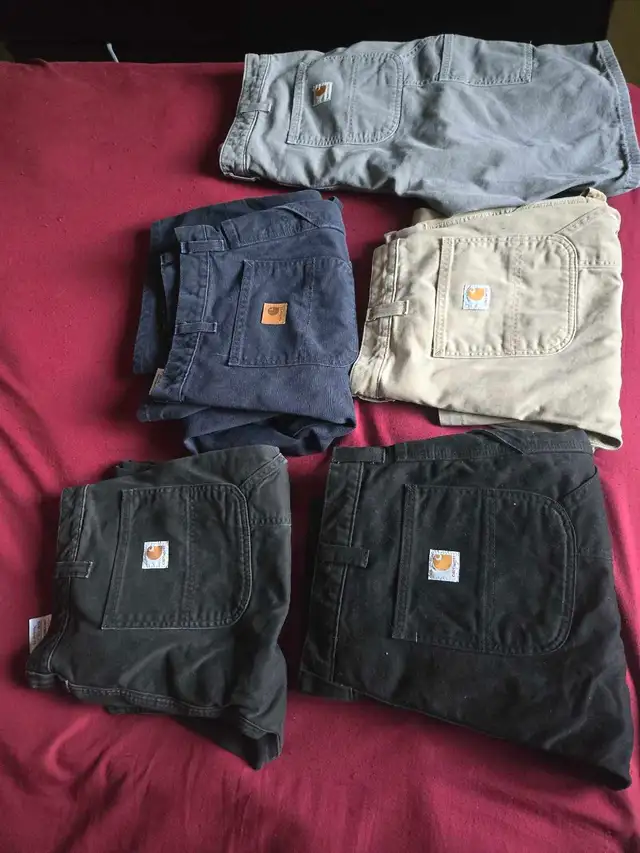 carhartt work pants and shorts