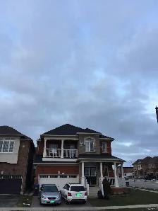 2 bed 1 bath for Rent -$1899