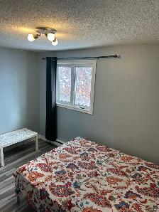 Private Room for Rent - Photo 4