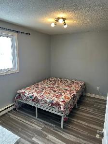 Private Room for Rent - Photo 5