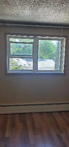 Rooms for Rent - Photo 10