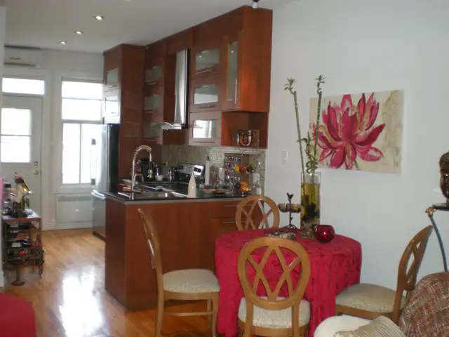 BEL APPARTEMENT - STYLE LOFT - SECTEUR ROSEMONT