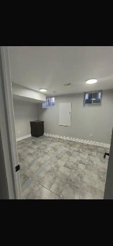 basement - Photo 2