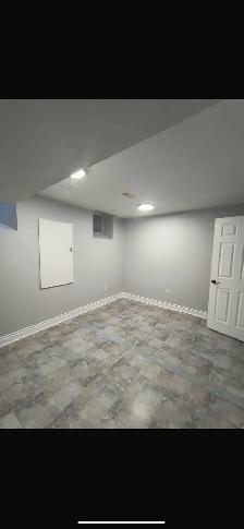 basement - Photo 5
