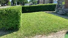 Lawn Care and Yard Cleanup Toronto - Photo 2