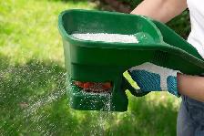 Lawn Care and Yard Cleanup Toronto - Photo 4