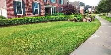 Lawn Care and Yard Cleanup Toronto - Photo 5