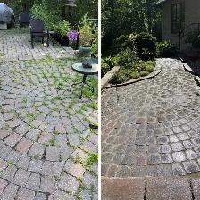 Lawn Care and Yard Cleanup Toronto - Photo 7