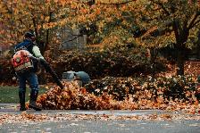 Lawn Care and Yard Cleanup Toronto - Photo 10