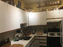 Bright Spacious 4 Bdrm house in Annex near Dupont sbwy - Photo 7