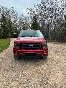 2014 FX4 F-150 - Photo 2