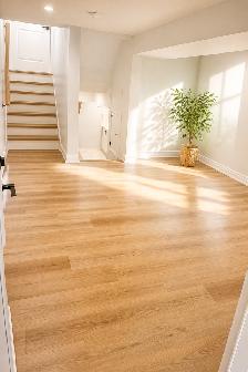 Legal Basement 2BHK Room for rent Main floor - Photo 12