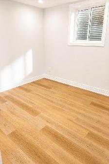 Legal Basement 2BHK Room for rent Main floor - Photo 21