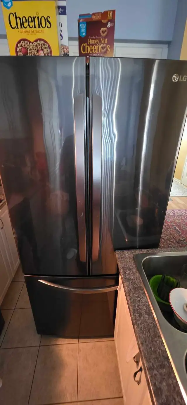 Fridge Repair