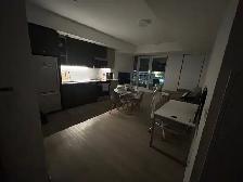 1 bed studio apartment - Photo 2