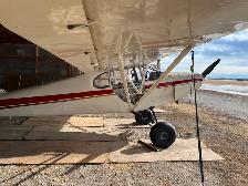 Piper PA-12 - Photo 4