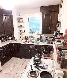 Room For Rent (Downtown Apartment) Dog & Cat Friendly - Open Now