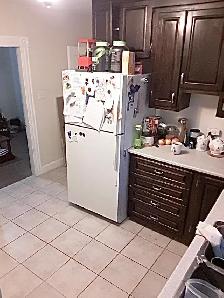 Room For Rent (Downtown Apartment) Dog & Cat Friendly - Open Now - Photo 2