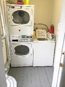 Room For Rent (Downtown Apartment) Dog & Cat Friendly - Open Now - Photo 9