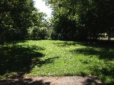 Room For Rent (Downtown Apartment) Dog & Cat Friendly - Open Now - Photo 10