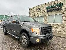 2010 Ford F-150 4WD SuperCrew 145' FX4 - Photo 3