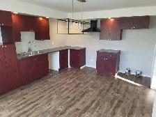 Logement 51/2 st-jérôme