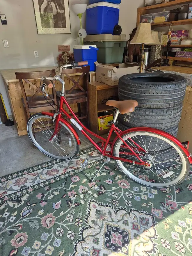 Third Ward 3 Speed Bike Dutch Style